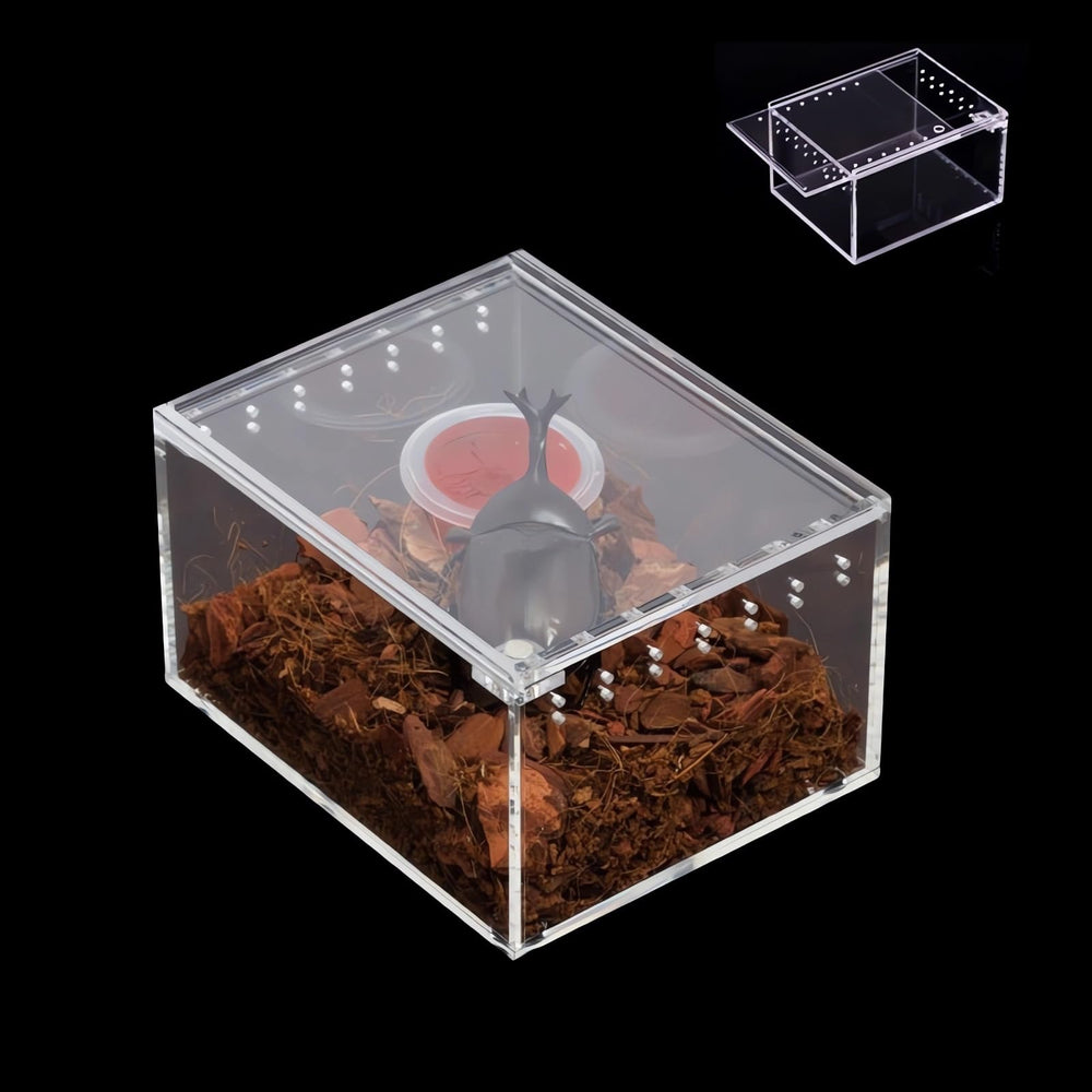 AWXZOM insect breeding box top view shows compact observation-ready design for feeding