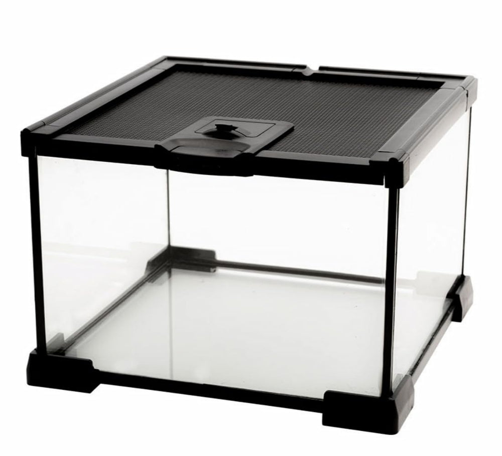 AWXZOM mini reptile glass terrarium front view shows clear visibility for easy observation