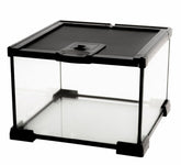 AWXZOM mini reptile glass terrarium front view shows clear visibility for easy observation