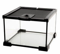 AWXZOM mini reptile glass terrarium front view shows clear visibility for easy observation