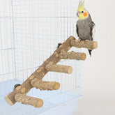 AWXZOM natural wood perches 12inch for safe resting and light chewing