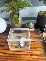AWXZOM reptile feeding box transparent side reveals pet behavior for easy monitoring