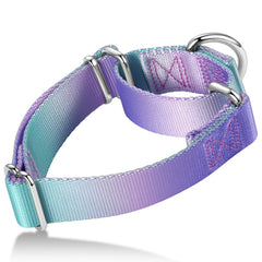 Axdvk Martingale Collar purple-green front view highlighting gradient visibility for outdoor walks.