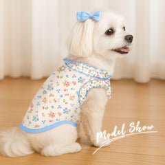 AXIIJGL toilet-friendly dog shirt offers easy pee access during walks.