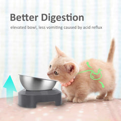 AYADA elevated bowl tilts to 15 degrees for easier swallowing