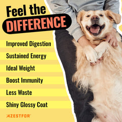 Azestfor kelp powder provides natural minerals to support digestion and coat.