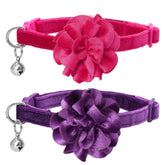 azuza floral cat collar with bowtie in hot pink and purple for daily wear.