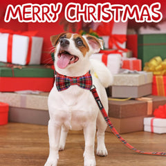 azuza Christmas Buffalo Collar with removable bowtie offers versatile dress-up options.