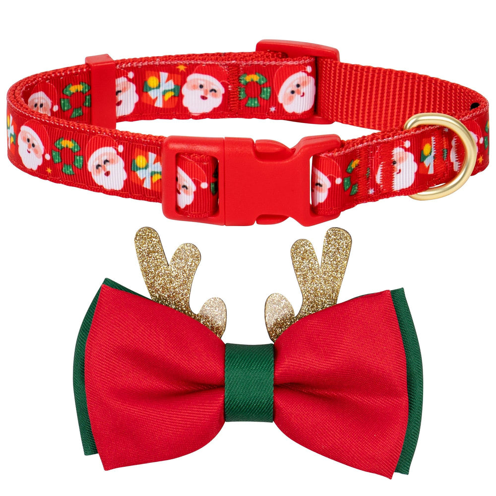 Azuza Christmas dog collar with Santa print for festive photos.