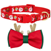 Azuza Christmas dog collar with Santa print for festive photos.