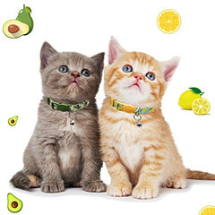 azuza kitten collar avocado print worn by curious cat during play