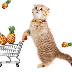 azuza kitten collar pineapple print during sunny stroll for visibility