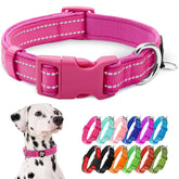 azuza Reflective Dog Collar hot pink closeup highlights night-visible reflective thread for safety.