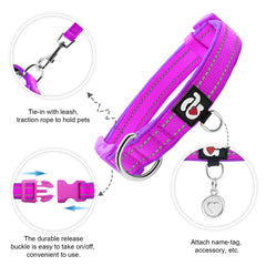 Azuza dog collar showing ID tag ring for attaching charms, tags, or pendants.