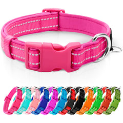 azuza Reflective Dog Collar with neoprene padding improves night visibility and all-day comfort.