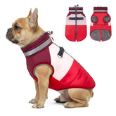 Azuza dog jacket back zipper shown for easy step-in and secure closure