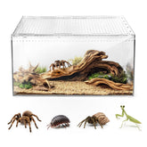 AZV escape-proof terrarium lid with magnetic lock for secure housing