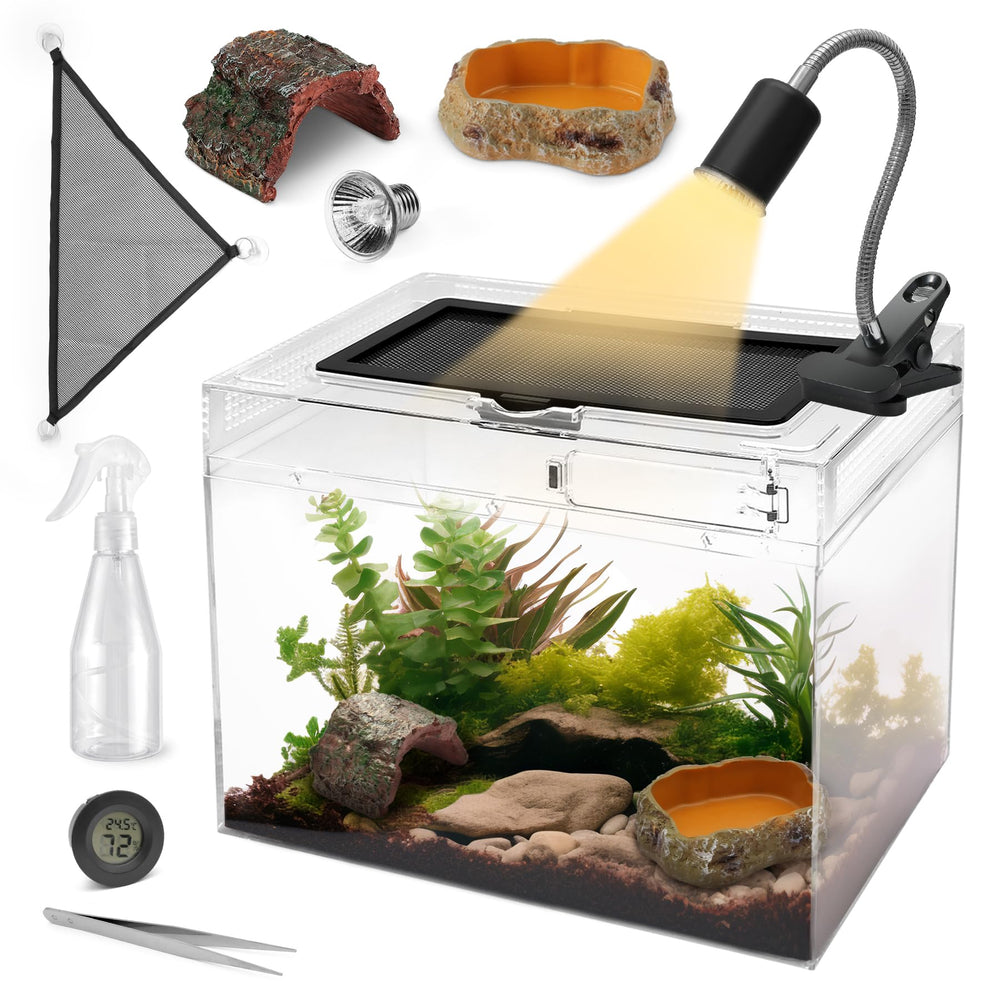 AZV Reptile Terrarium Starter Kit tank front view for compact desktop habitat.