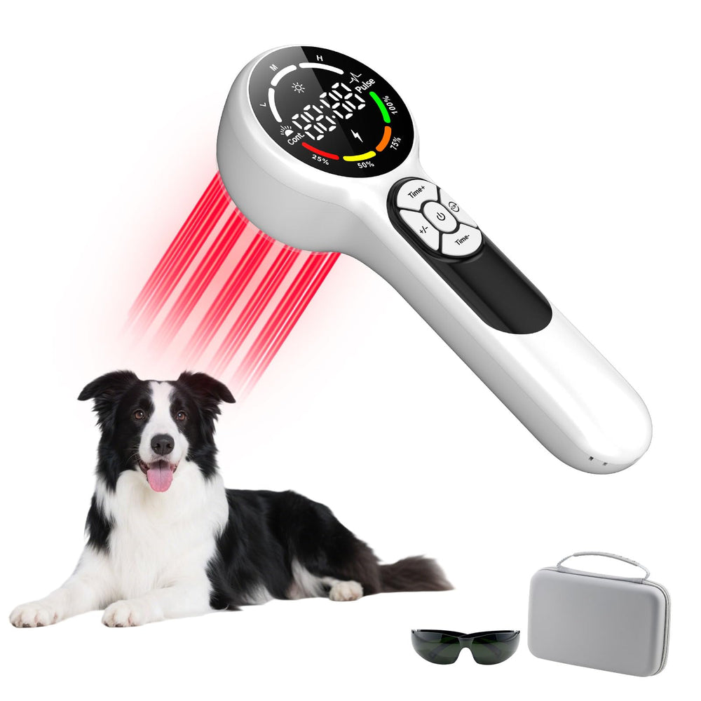 Azyldred cold-laser therapy device front view for at-home pet relief.