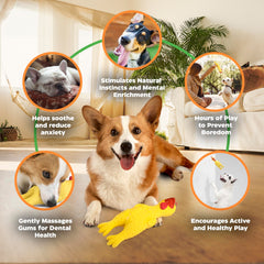 Baba Buddies durable-walls chicken toy close-up highlighting thick latex.