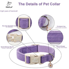 Babole Pet adjustable dog collar shows five sizes for a perfect fit.