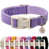 Babole Pet corduroy dog collar with paw charm in lavender boosts playful confidence on walks.