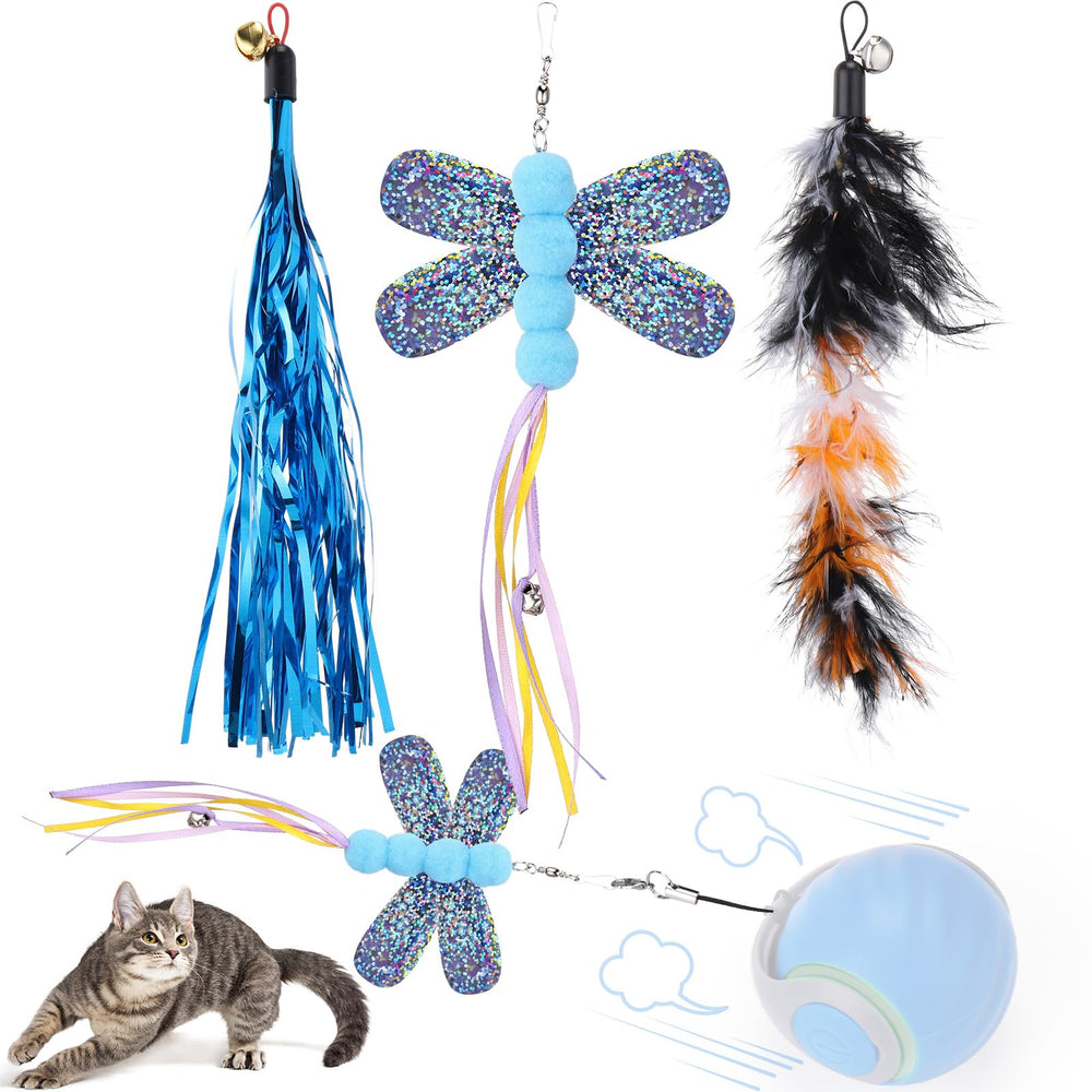 BABORUI feather tail close-up sparks playful hunting instincts