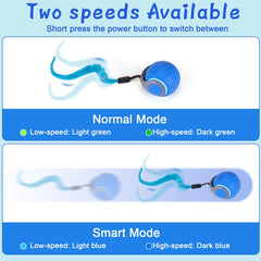 BABORUI 2-speed play for fast and slow chasing indoors.