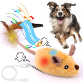 BABORUI interactive mouse toy with lights engages dogs and invites active playtime