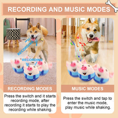 BABORUI rechargeable pig dog toy powering long play sessions.