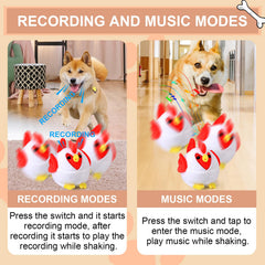 BABORUI rooster toy in action with dog enjoying bouncing interaction.