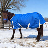 BabyFoxy mini pony turnout blanket blue front view with secure fit for turnout.