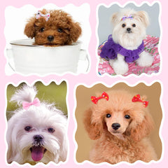 Babymatch puppy bows color variety highlights 30 color options for versatile outfits