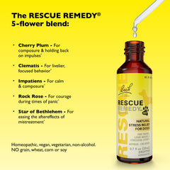 Close-up of relaxed dog after using Bach Rescue Remedy Pet Dropper for gentle tension relief.