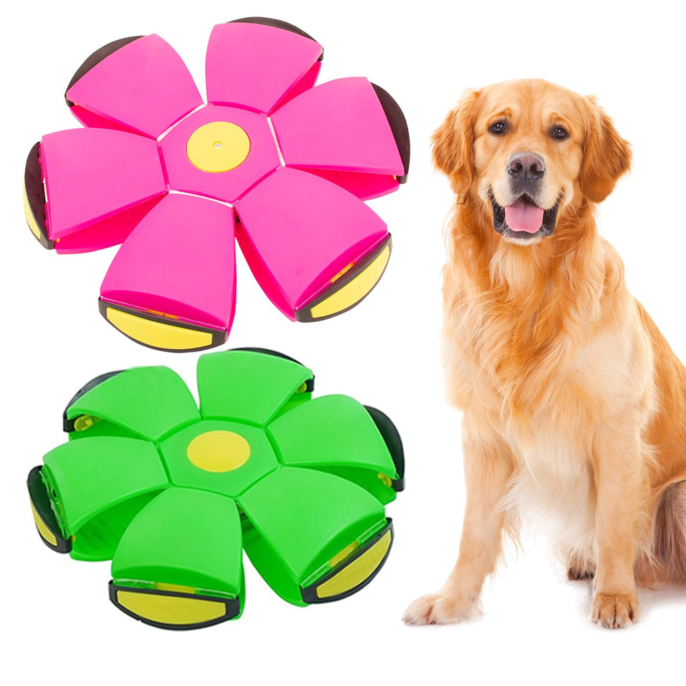 BADWALT dog flying disc dual shape for versatile fetch play.