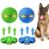 BADWALT dog flying disc toy setup showing dual shapes for interactive fetch sessions