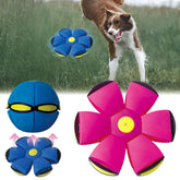 BADWALT FlidRunest flying-saucer-ball for interactive fetch sessions
