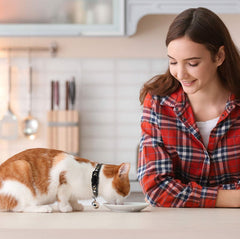 Baeuppit breakaway collar features star pattern for cute style.
