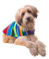 Baja Ponchos Shih Tzu poncho blue medium front view for stylish warmth