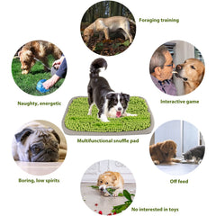 Bakumon Snuffle Mat green on-floor setup supports mental stimulation.