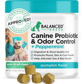 Balanced Breed probiotics bottle for dogs — supports gut health and digestive comfort.