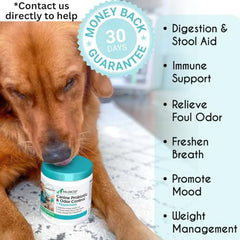 Balanced Breed dog probiotic chews — convenient daily anti-yeast and skin support.