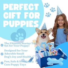 Bambinom small dogs outdoor play shows versatile toys for boredom relief and bonding