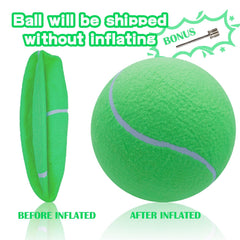 Banfeng dog ball bright green for outdoor training and play.
