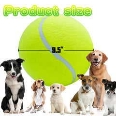 Banfeng Doy Sport ball close-up highlighting rubber felt texture for grip during fetch.