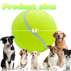 Banfeng two-pack yellow dog tennis balls with pump, ready for quick inflating after delivery.