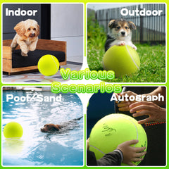 Banfeng dog ball ships uninflated; inflate at home.