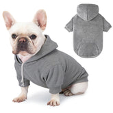 Baobicute dog basic hoodie front view highlights soft fabric and snug fit for warmth.