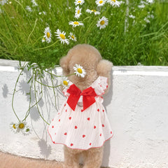 Baobicute satin bow back detail enhances pet fashion during walks and photos.