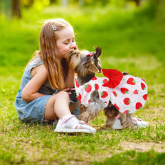 Baobicute girl dog dress with strawberry print for cute summer outings